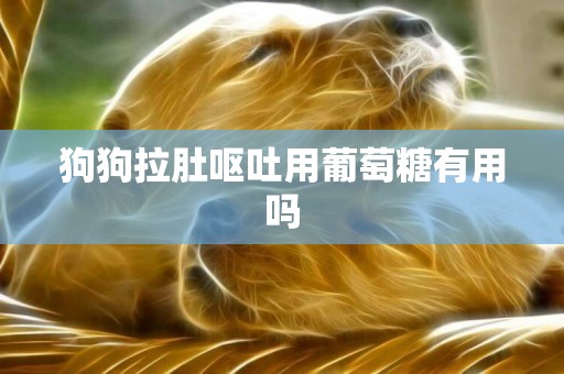 狗狗拉肚嘔吐用葡萄糖有用嗎