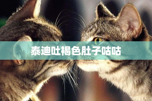 泰迪吐褐色肚子咕咕