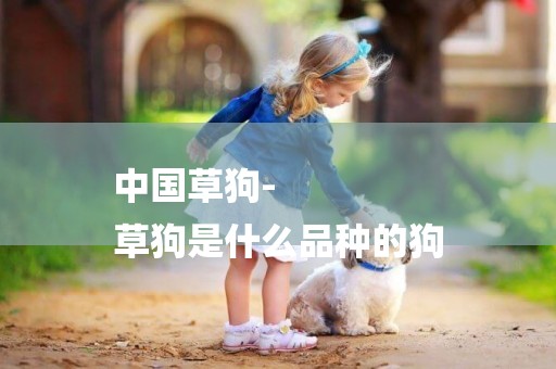 中國草狗-
草狗是什么品種的狗