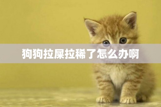 狗狗拉屎拉稀了怎么辦啊