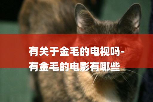 有關于金毛的電視嗎-
有金毛的電影有哪些