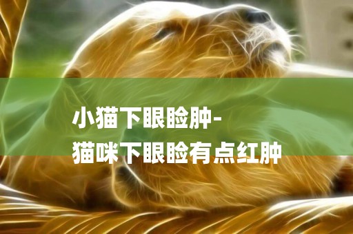 小貓下眼瞼腫-
貓咪下眼瞼有點紅腫