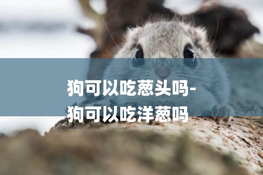 狗可以吃蔥頭嗎-
狗可以吃洋蔥嗎