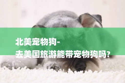 北美寵物狗-
去美國旅游能帶寵物狗嗎?