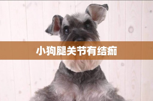 小狗腿關節有結痂
