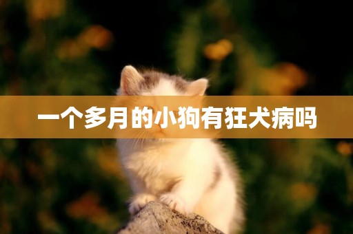 一個多月的小狗有狂犬病嗎