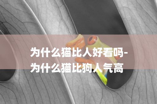 為什么貓比人好看嗎-
為什么貓比狗人氣高