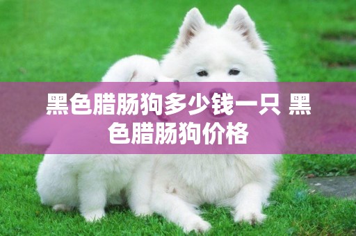 黑色臘腸狗多少錢一只 黑色臘腸狗價格