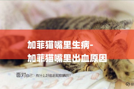 加菲貓嘴里生病-
加菲貓嘴里出血原因