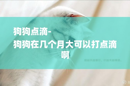 狗狗點滴-
狗狗在幾個月大可以打點滴啊