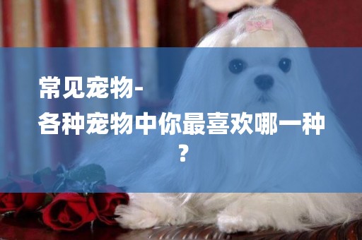 常見寵物-
各種寵物中你最喜歡哪一種？