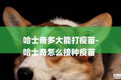 哈士奇多大能打疫苗-
哈士奇怎么接種疫苗
