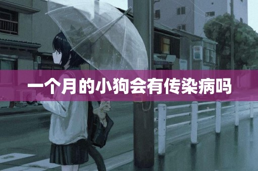 一個月的小狗會有傳染病嗎
