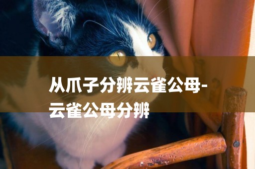 從爪子分辨云雀公母-
云雀公母分辨