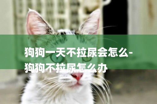 狗狗一天不拉尿會怎么-
狗狗不拉尿怎么辦