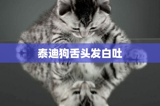 泰迪狗舌頭發白吐