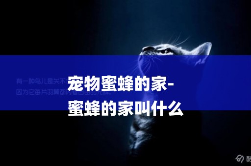 寵物蜜蜂的家-
蜜蜂的家叫什么