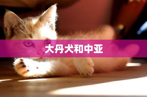 大丹犬和中亞