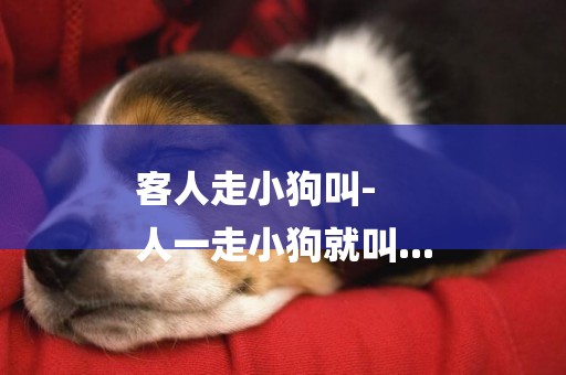 客人走小狗叫-
人一走小狗就叫...
