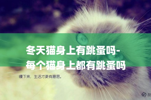 冬天貓身上有跳蚤嗎-
每個貓身上都有跳蚤嗎