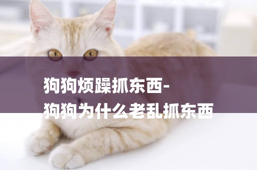 狗狗煩躁抓東西-
狗狗為什么老亂抓東西