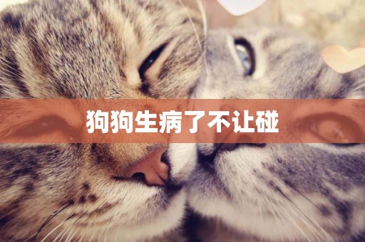 狗狗生病了不讓碰