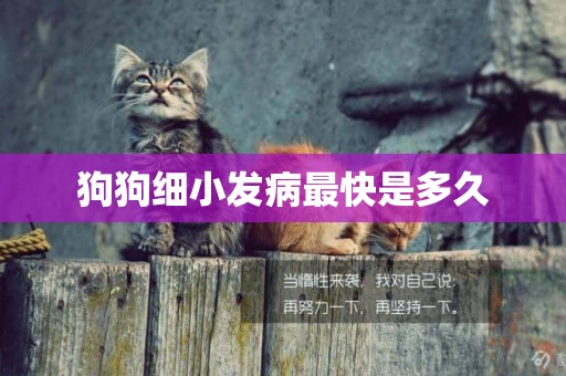 狗狗細小發病最快是多久