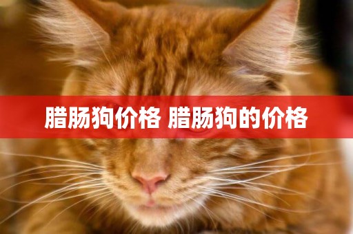 臘腸狗價格 臘腸狗的價格