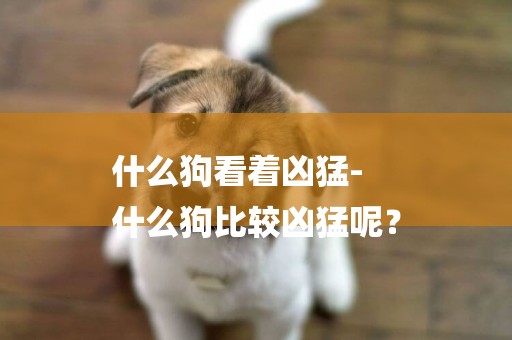 什么狗看著兇猛-
什么狗比較兇猛呢？