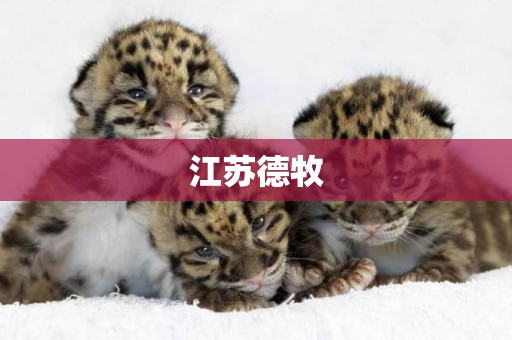 江蘇德牧
