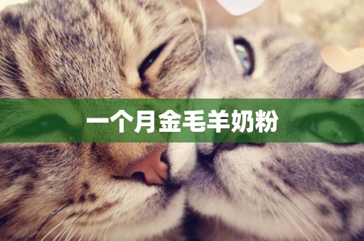 一個月金毛羊奶粉