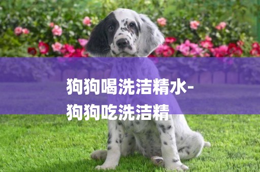 狗狗喝洗潔精水-
狗狗吃洗潔精