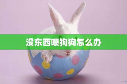 沒東西喂狗狗怎么辦