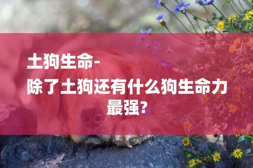 土狗生命-
除了土狗還有什么狗生命力最強?
