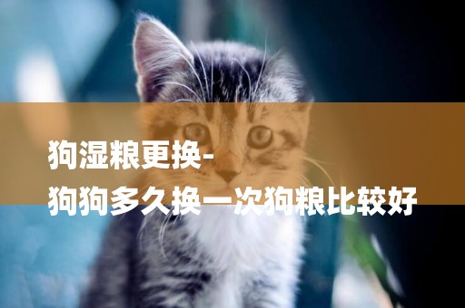 狗濕糧更換-
狗狗多久換一次狗糧比較好