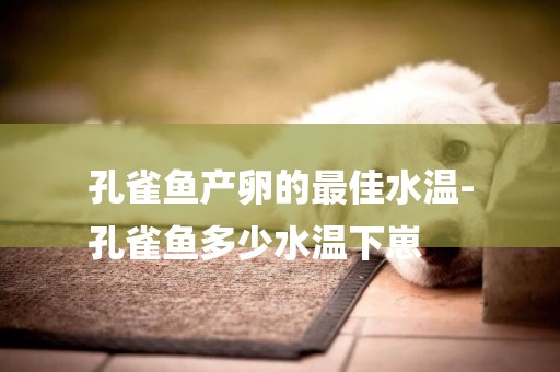 孔雀魚產卵的最佳水溫-
孔雀魚多少水溫下崽