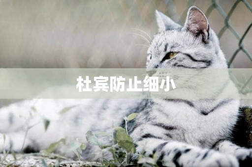 杜賓防止細小