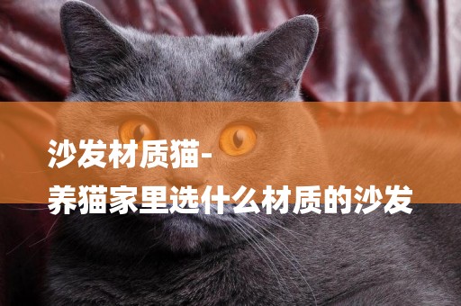 沙發材質貓-
養貓家里選什么材質的沙發