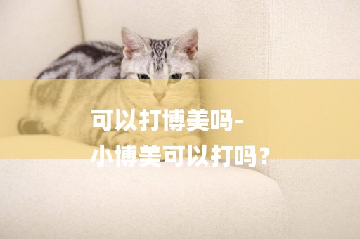 可以打博美嗎-
小博美可以打嗎？