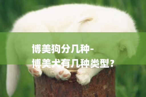 博美狗分幾種-
博美犬有幾種類型？