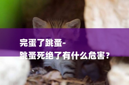 完蛋了跳蚤-
跳蚤死絕了有什么危害？