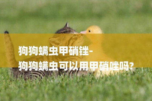 狗狗螨蟲甲硝銼-
狗狗螨蟲可以用甲硝唑嗎?