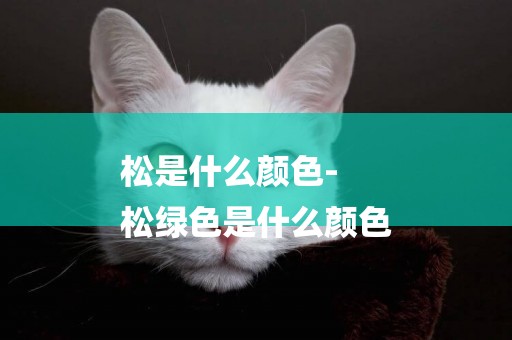 松是什么顏色-
松綠色是什么顏色