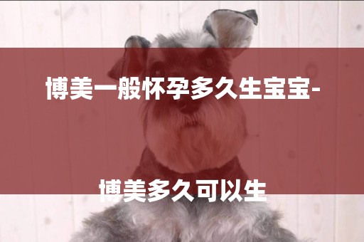 博美一般懷孕多久生寶寶-
博美多久可以生