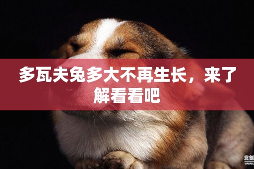 多瓦夫兔多大不再生長，來了解看看吧