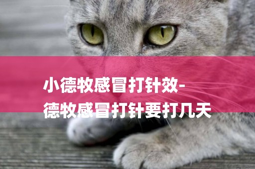 小德牧感冒打針效-
德牧感冒打針要打幾天