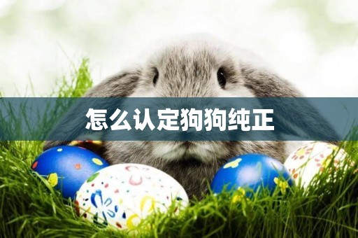 怎么認定狗狗純正
