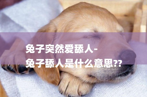 兔子突然愛舔人-
兔子舔人是什么意思??