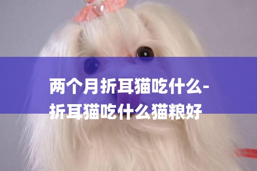 兩個月折耳貓吃什么-
折耳貓吃什么貓糧好