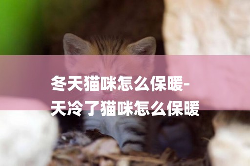 冬天貓咪怎么保暖-
天冷了貓咪怎么保暖